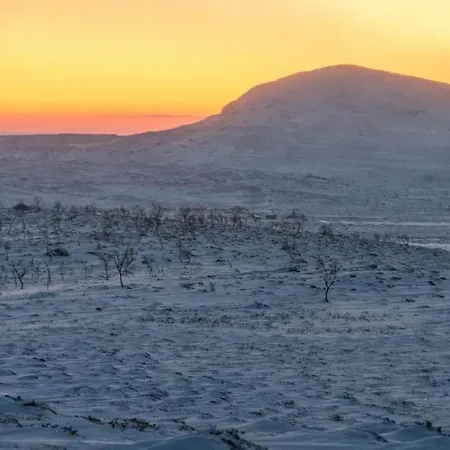 Hillagammi, The Unique Beauty In The Wilderness * Utsjoki