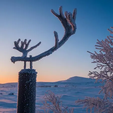 Hillagammi, The Unique Beauty In The Wilderness 아파트 우츠요키